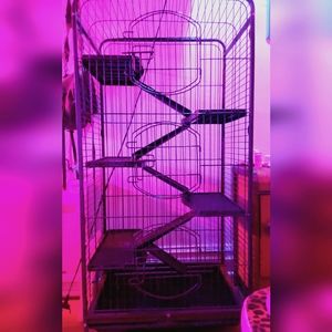 Pet Cage